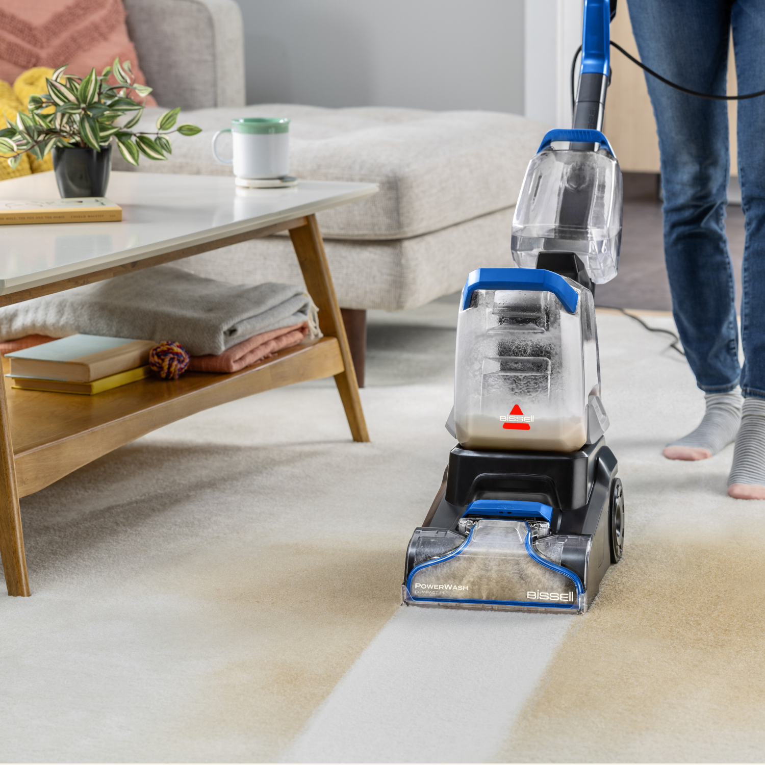 Remove tough and ground-in dirt, pet stains, and odours